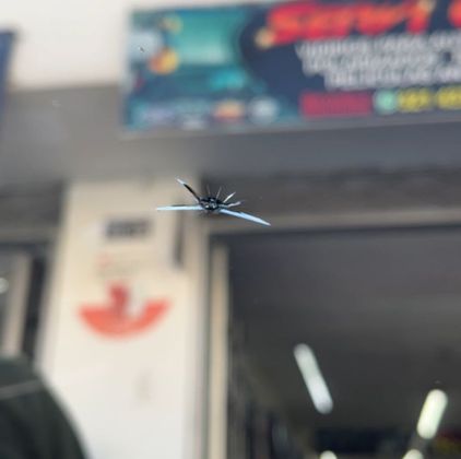 reparacion de panoramicos