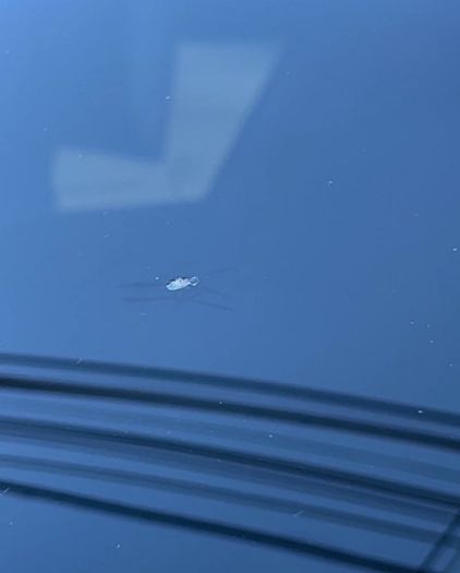 vidrios panoramicos en bogota